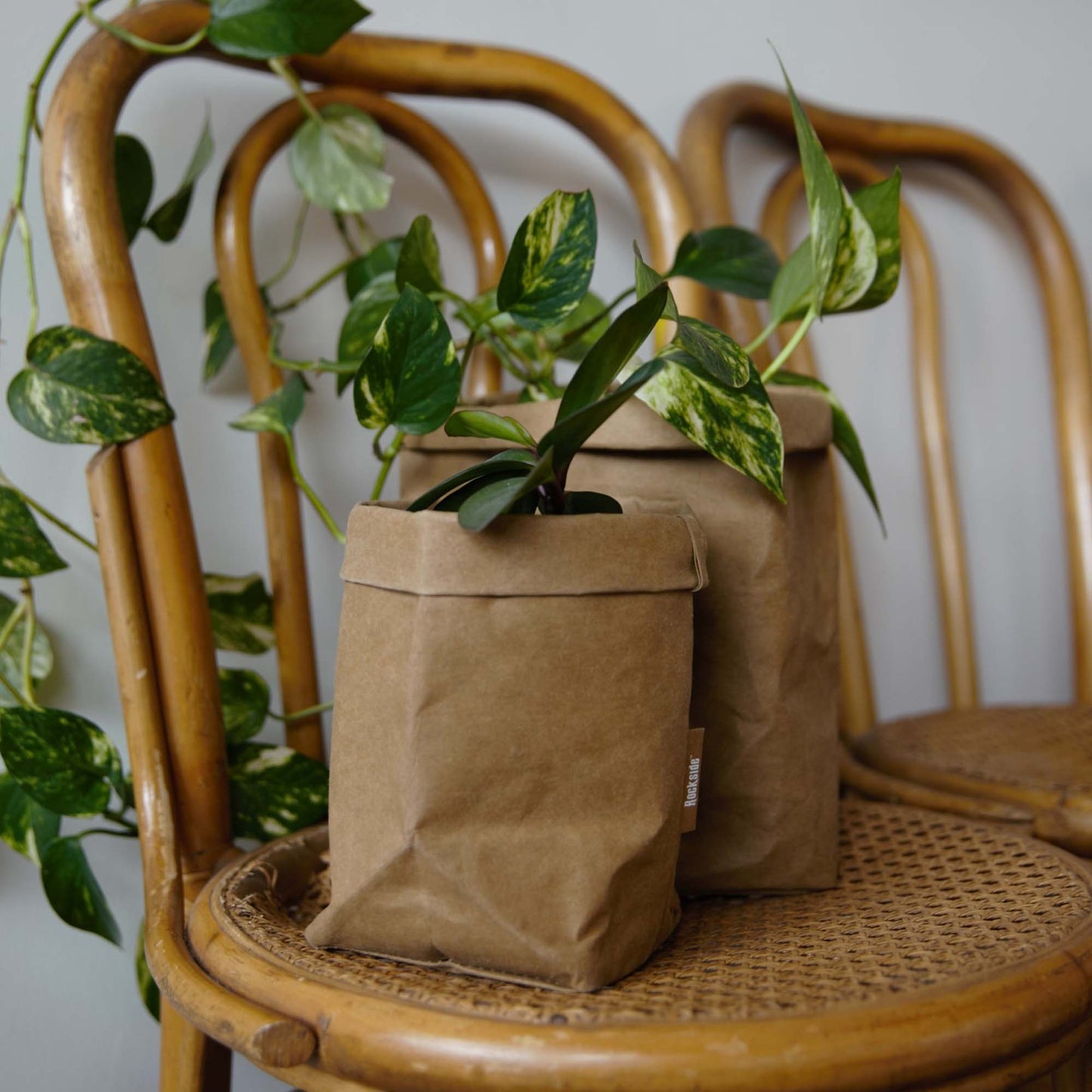 Sewo Kraft Paper Storage Bag Set
