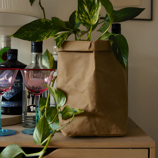 Sewo Kraft Paper Storage Bag – Medium